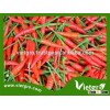 High Yield F1 Hybrid Red Chilli Pepper Seeds VGCL 01/ Vegetable seeds