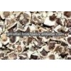Moringa seed dried moringa seeds