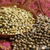 Best Whole coriander seeds