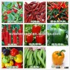 All types hot pepper seeds, chili pepper seeds, hot chili seeds for growing
