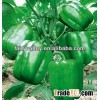 High Density Fruits Green Sweet Pepper Seeds For Planting-The Lord