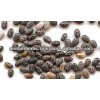 Herbal High Quality black Chia Seeds