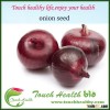 Touchhealthy supply early maturity f1 hybrid chinese red hybrid onion seeds prices
