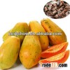 High quality papaya seeds for growing & high yield