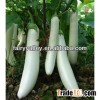 Vegetable Seeds:All Kinds Of Eggplant Seeds With Different Colors