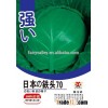 Hybrid F1 Cabbage Seed Kale Seeds For Growing-Japanese Iron Head 70