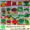 A Set Vegetable Seeds 22 Varieties chinese vegetable for you