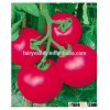 Hybrid F1 Indeterminate Growth Low Temperature And Low Light Tolerant Giant Pink Tomato Seeds For Sa