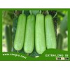 High Yield F1 Hybrid Star Bottle Gourd Seed - EXTRA LONG 09