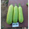 F1hybride squash seeds