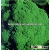 F1 Hybrid Excellent Chinese Broccoli Seeds For Sale-SproutingYour Broccoli Seeds