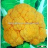 Hybrid F1 Golden Yellow Cheddar Cauliflower Seeds For Cultivation 1.2kg