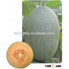 Chinese melon seeds High sweetness hybrid muskmelon seeds For Growing
