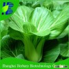 High productivity bok choy seeds with stress resistance