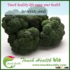 F1 Hybrid Excellent Organic Broccoli Seeds For Sale