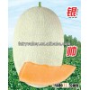 Hybrid F1 Chinese Xinjiang Hami Melon Seeds Cantaloupe Seeds For Sale- Silver Handsome
