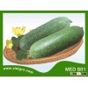 High Yield F1 Hybrid Wax Gourd Squash Gourd Seed MED S01- Asia Tropical Vegetable Seed for planting
