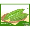 HIGH YIELD F1 HYBRID BITTER GOURD ORI 140/ VEGETABLE SEED/ GOURD SEEDS FOR SALE / ASIAN VEGETABLE