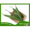 High Yield F1 Hybrid Luffa- Asian Vegetable Seed - DADDY LOOHFAH