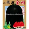 Hybrid F1 Chinese High Yield High Sweetness Black Peel Oval Red Meat Seedless Watermelon Seeds For G