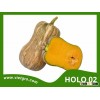 High Yield F1 Hybrid Red Pumpkin Seed - HOLO 02- Tropical Vegetable seed for planting