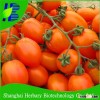 2016 High yield/High resistant red cherry tomato seeds