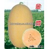 Hybrid F1 Golden Yellow Sweet Hami Melon Seeds Japanese Cantaloupe Melon Seeds-Golden Handsome