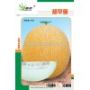 Hybrid F1 muskmelon seeds japanese melon seeds For planting-Chao Zao Mi