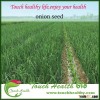 Touchhealthy supply Chinese competitive onion seeds price
