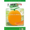 High sweetness hybrid sweet melon seeds For Growing-Ke Mi 50