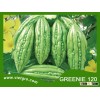 High Yield F1 Hybrid Bitter Gourd Seed - GREENIE 120