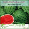 Touchhealthy supply planting red big hybrid watermelon seed