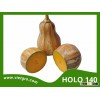 High Yield F1 Hybrid Pumpkin Seed - HOLO 140