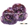 Chinese purple vegetable Seeds Health vegetables seeds for sale-Zi Ju