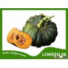 High Yield F1 Hybrid Pumpkin Seed - LOWEEN 06