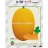 Oblong fruit Sweet melon seeds For Growing-ke Mi 70
