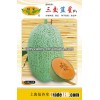 Hybrid F1 Japanese Musk Hami Sweet Cantaloupe Melon Seeds For Cultivation-Three Hybrids Blue Star F1
