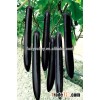 Highly recommended Hybrid black long eggplant seeds for growing-Rui Qie No.1