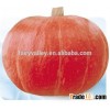 Wholesale hybrid pumpkin seeds chinese vegetable seeds for plantng-New Red Chestnut