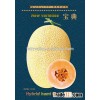 High quality Hybrid Hami Melon Seeds Cantaloupe melon seed muskmelon seeds for planting-Bao Dian