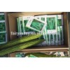 Hybrid bitter gourd seeds-New Excellence F1