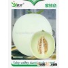 High sweetness hybrid F1 japanese melon seeds sweet melon seeds For Growing-Mi Ru Yi