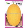 High diseases resistance Hybrid muskmelon seeds hami melon seeds For planting-Jin Di Wang