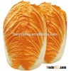 Chinese vegetable hybrid cabbage Seeds orange yellow vegetable seeds for planting-Red Heart 65 Days