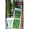 Hybrid bitter gourd seeds-New Harvest F1