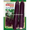 Super High Yield Hybrid Purple Long Eggplant Seeds For Sale-General888