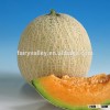 Hybrid F1 muskmelon seeds cantaloupe seeds japanese melon seeds For planting-Red Pearl
