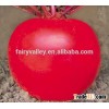 Hybrid F1 red radish seed chinese vegetable seeds for Growing-Red Happiness