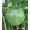 2016 New pumpkin seeds For Growing-Round Green No.2