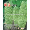 Good resistance F1 Hybrid mid-early maturity Bitter gourd(melon) seeds for planting- Mei Yu F1